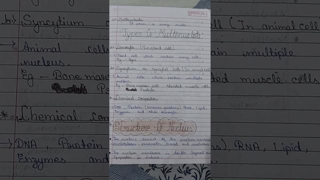 B0014d2c5ac13279026665add5780a4f