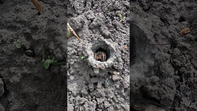 Bd789e1a9feebd8cab23396e57a18ed3