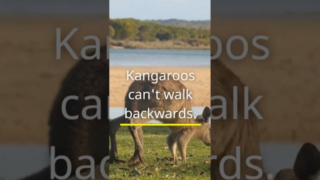 1a074ac975da2d71323f24dd2d7cac56