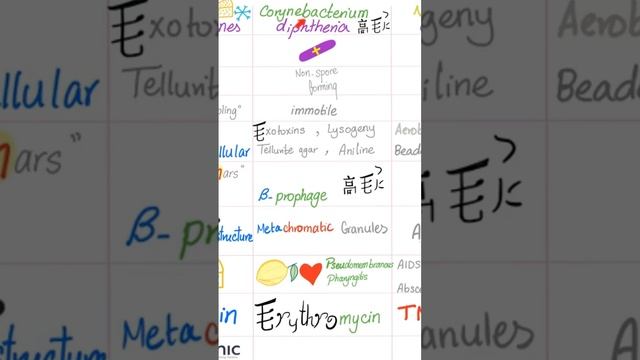Corynebacterium Diphtheriae- Diphtheria Toxin - Pharyngitis, Myocarditis, Neuropathy- Microbiology