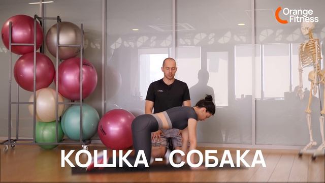 Комплекс упражнений для красивой и здоровой осанки// Orange Fitness