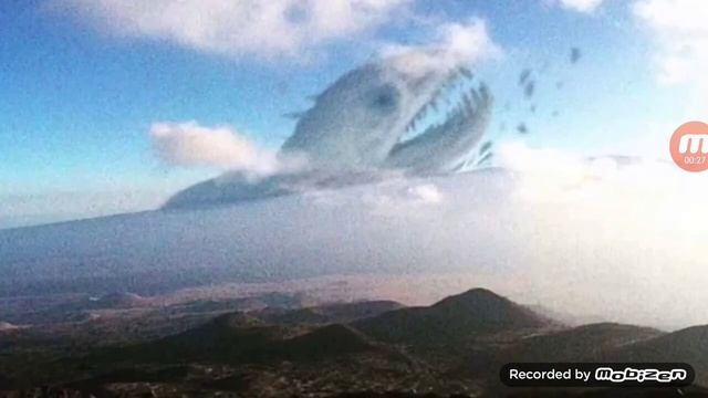 звуки бегемота (Тревор Хендерсон)