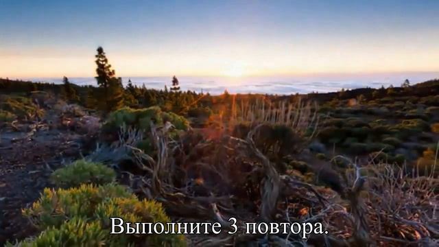 Упражнения для растяжки в домашних условиях  — Статья