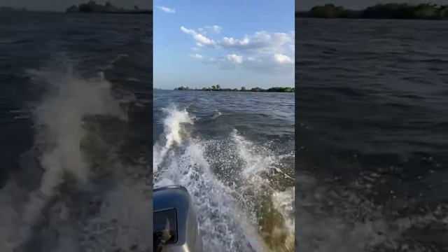 Рыбалка в Астраханской области #астрахань #астраханскаяобласть #fishing #рыбалка #природа #boating