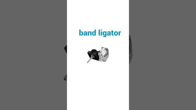 Gastroenterology Consumables Display, Peg Kit, Band Ligator