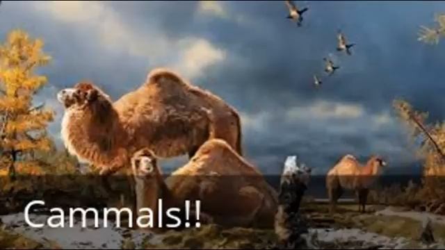 Pliocene Times