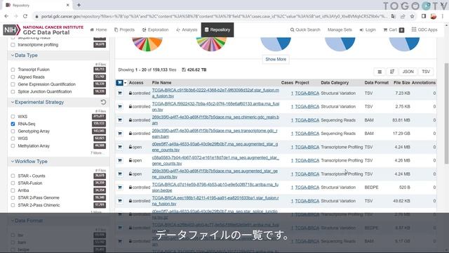 The Cancer Genome Atlas (TCGA) を使って各癌種の公開データを検索・ダウンロードする