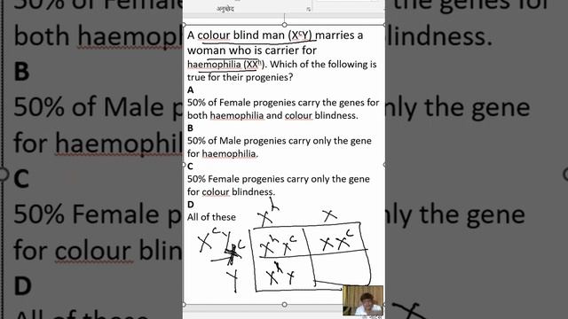 A Colour Blind Man (XcY) Marries A Woman Who Is Carrier For Haemophilia (XXh). Which Of The