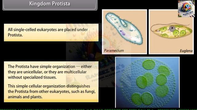 Class 9th Diversity In Living Organisms I