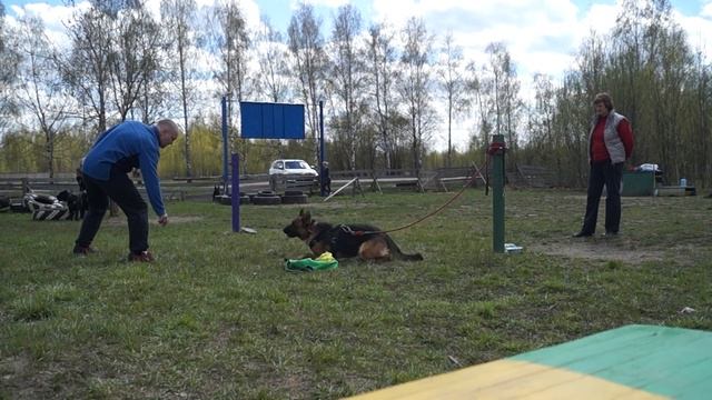 УДП 
