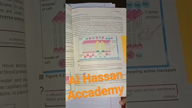 Endocytosis ( Short Key)😍
