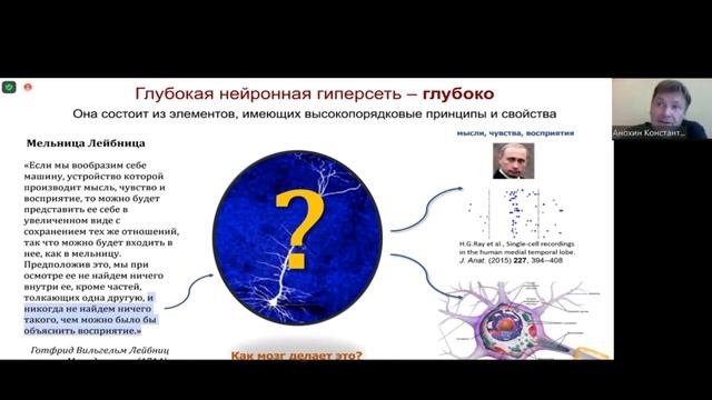 Когнитом: нейронная гиперсеть как организующий принцип высших функций мозга. Константин Анохин