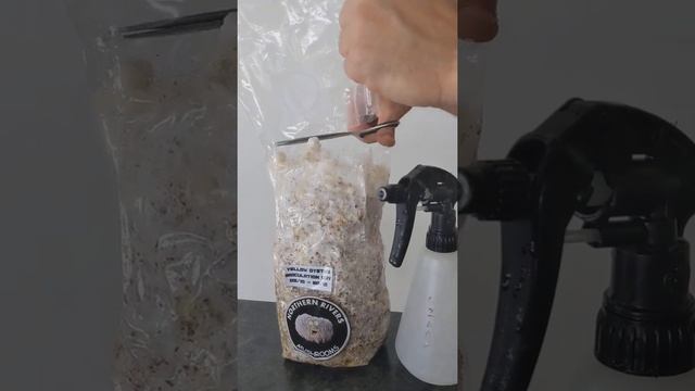 Northern Rivers Mushrooms Grow Kit Method 1