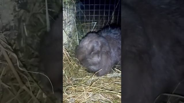 6eafef4afe6da035c31033d34f6ed6fd