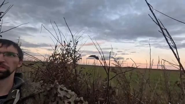 84db9e9ec1a73c1510cae8fe06ebd063