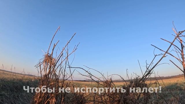 Fa4ff39e2d4502dafd795a7dd7d8aef6