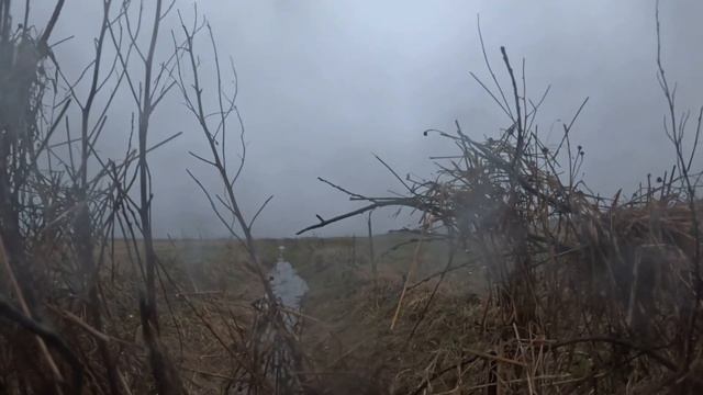 7d457a09a54e47f04463902fa01c9265