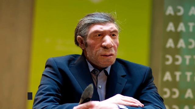 İbtidadi insanlar - Neandertallar kimlərdir ? Niyə yox oldular?
