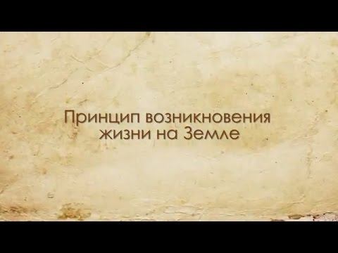 55abd22a7c57bf8b6726d0e5cfe77859