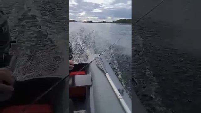 Лето 2021.Рыбалка. Как приятен мне звук мотораХочу лето!