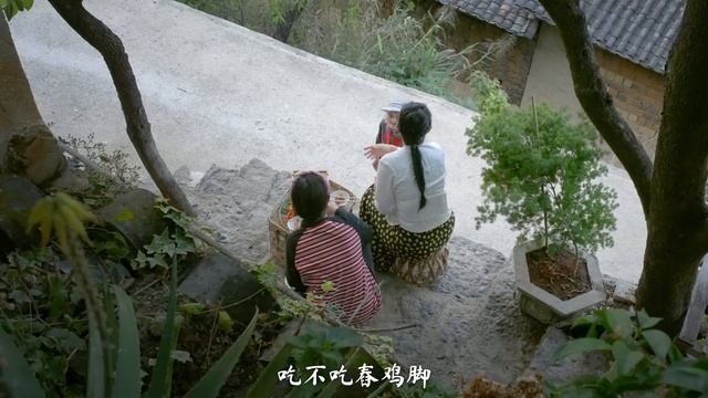Goat's Milk Fruit — A Yunnan Fruit That 90% Of People Have Never Tried