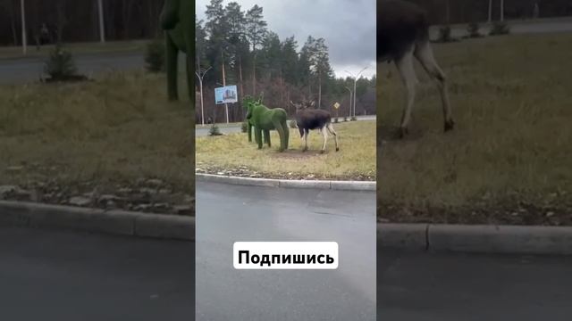 A6faee7cc3dcff2cf83fb27676db643c