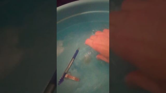 Восприятие не восприятие или что меняется в восприятии 😝