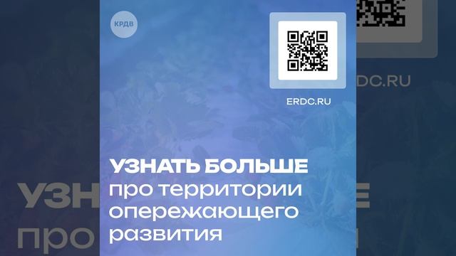 Динамический креатив для оформления поста в соцсетях
