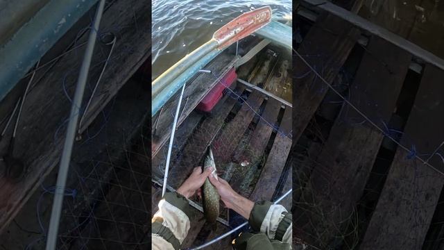 8c1e88229e6fba78b751362bd9ce3125