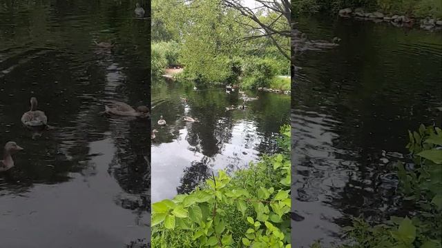 8461095448cba3dec4850e037406982d