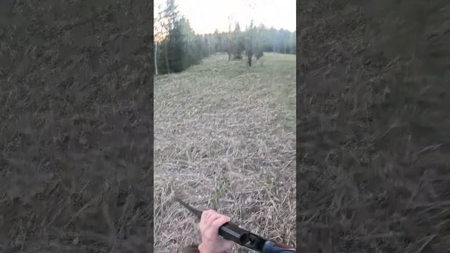 18d9431a00d1733248f0596377678505