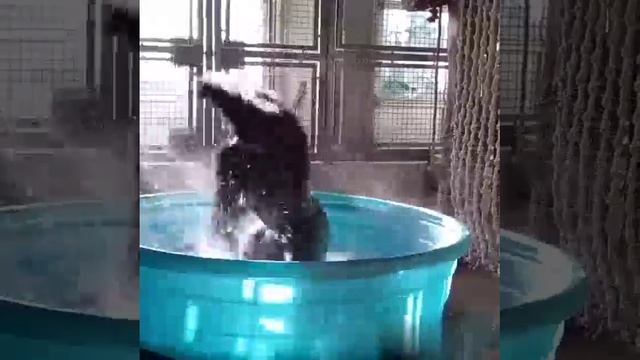 46f8ab84f7108a19c5e41cd6df82e8d4