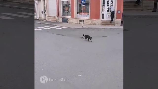 2c28eaf66ca596faf2c36deba9e3162a