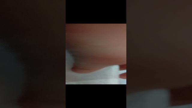 Video_20241116_234608.mp4