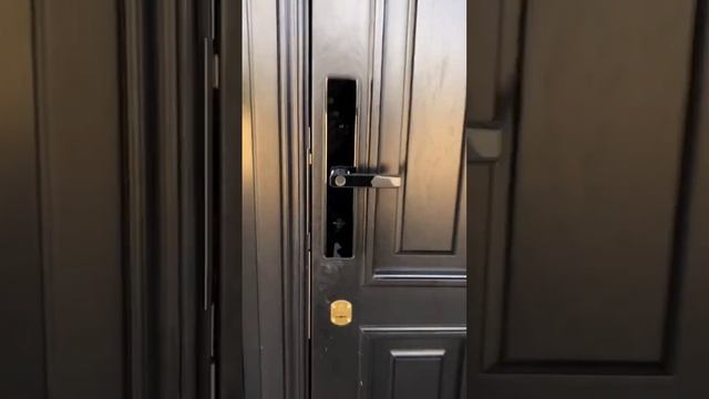 Не лает , не кусает , дом защищает !Умные замки MyLock!