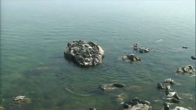 2012 год. Июль№7