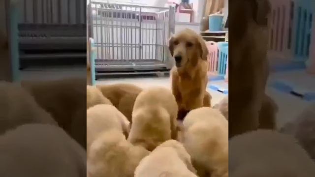 348017851e0fbc8c9eb7098c8ff81659