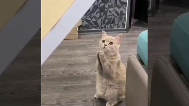 63411b998710d5f7834431c4e1103e8b