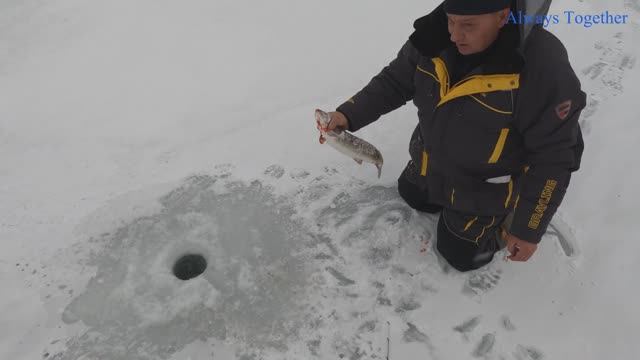 Рыбалка по первому льду. Ловим Ленка на реке.