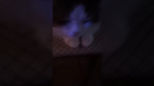 9d9a9235aa4cd5e0f81d5b1983b94246