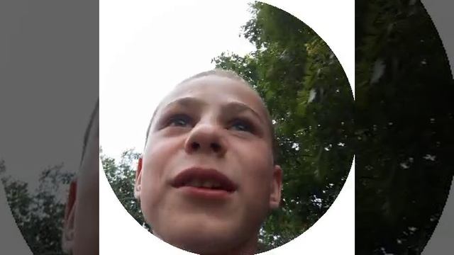 Комар плакает.