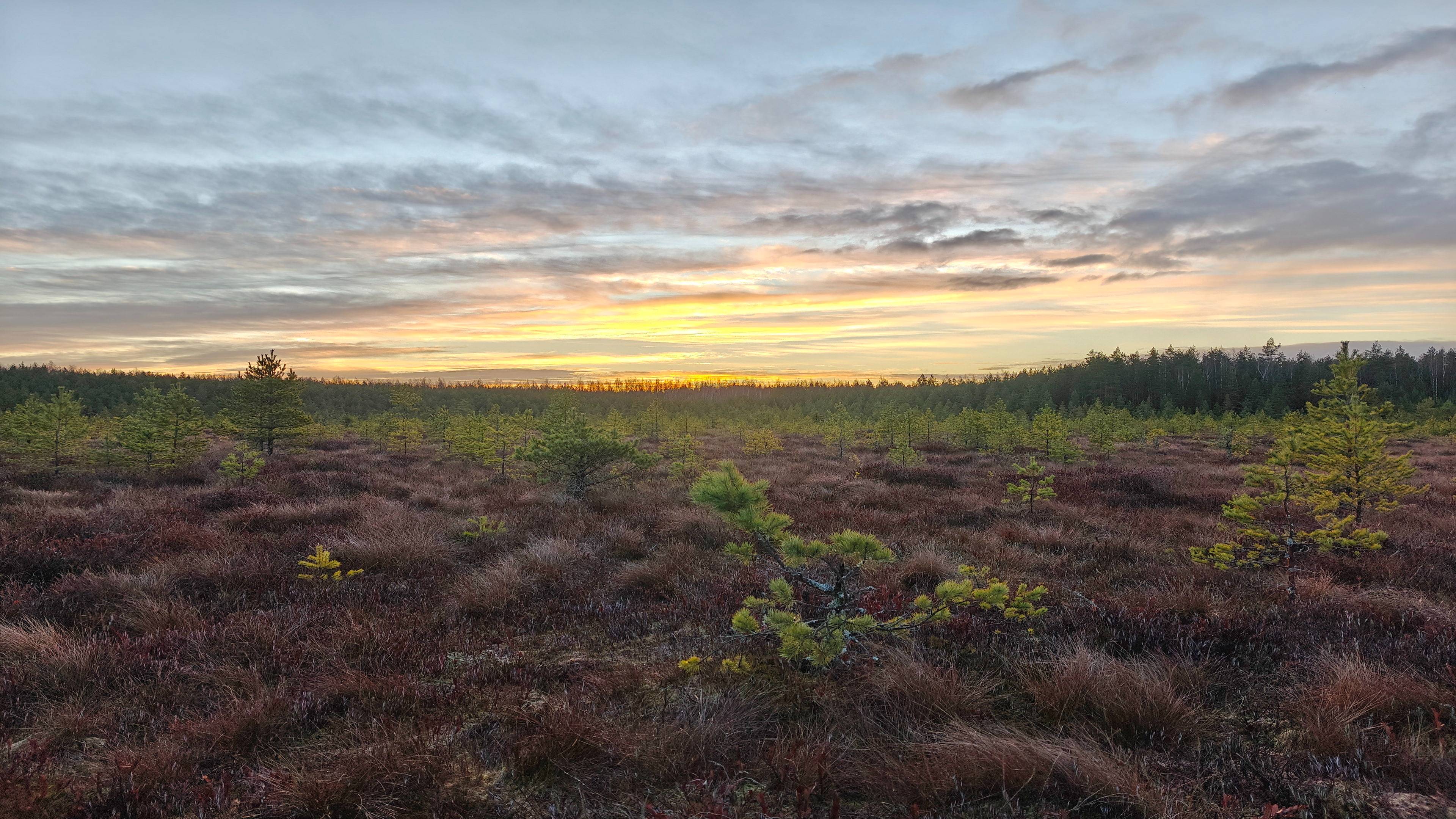 91c268de65bb9306ceab05e36128801a