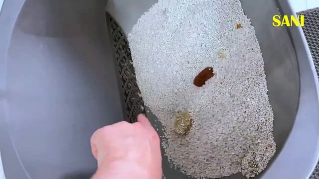 Neakasa M1 автоматический туалет для кошек: обзор от SANISHOW.