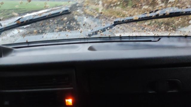 A6dafa74113528fa238f0f714d1c862d