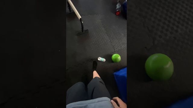 Комар на кондициях.