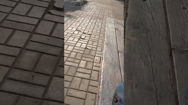 Калужское утро