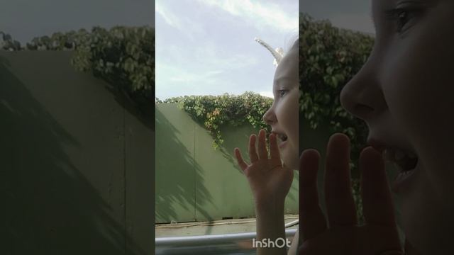 C810dcc63d08bc1f951ebfb3adc069e2