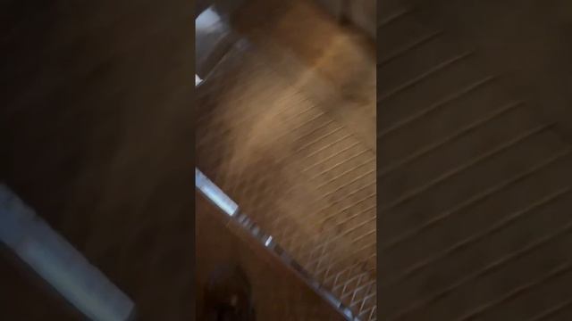 Между вагонами