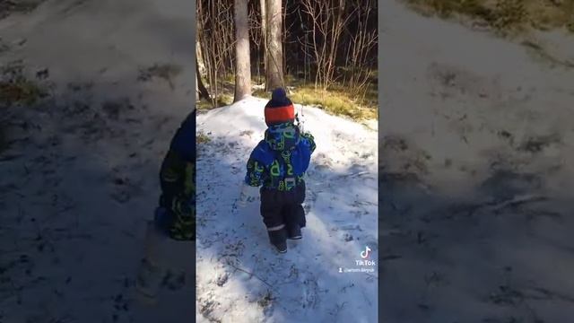 02904f2dc78730f9dd99a6d0c40b3dab