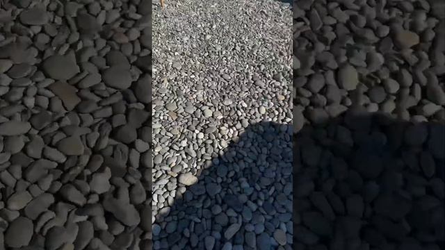 Все увидели